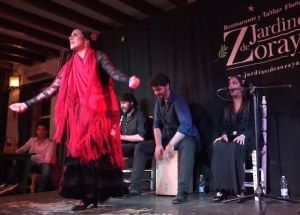 Flamenco Jardines Zoraya en Granada